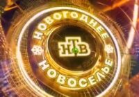 Новогоднее новоселье